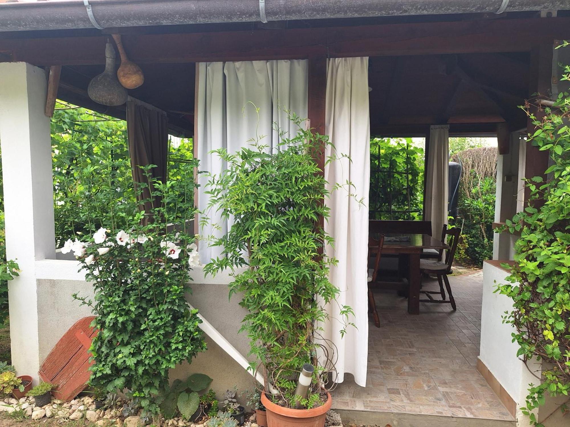 Apartments With A Parking Space Supetarska Draga - Donja, Rab - 15999 מראה חיצוני תמונה